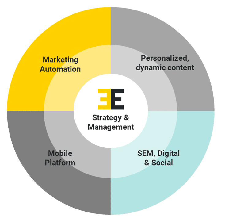 A strategy and management pie