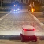A robot delivery system